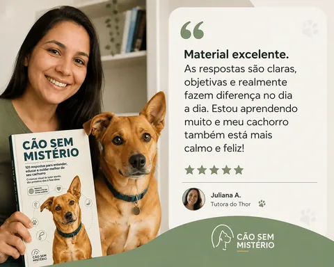 Depoimento 1